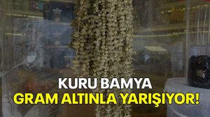 Kuru bamya gram altınla yarışıyor!